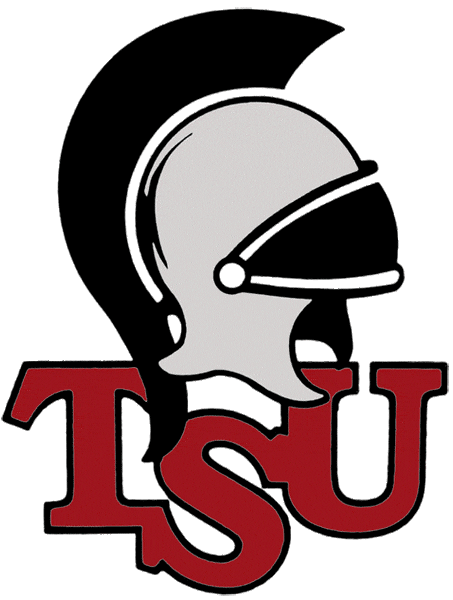 Troy Trojans 1993-2003 Primary Logo t shirts iron on transfers...